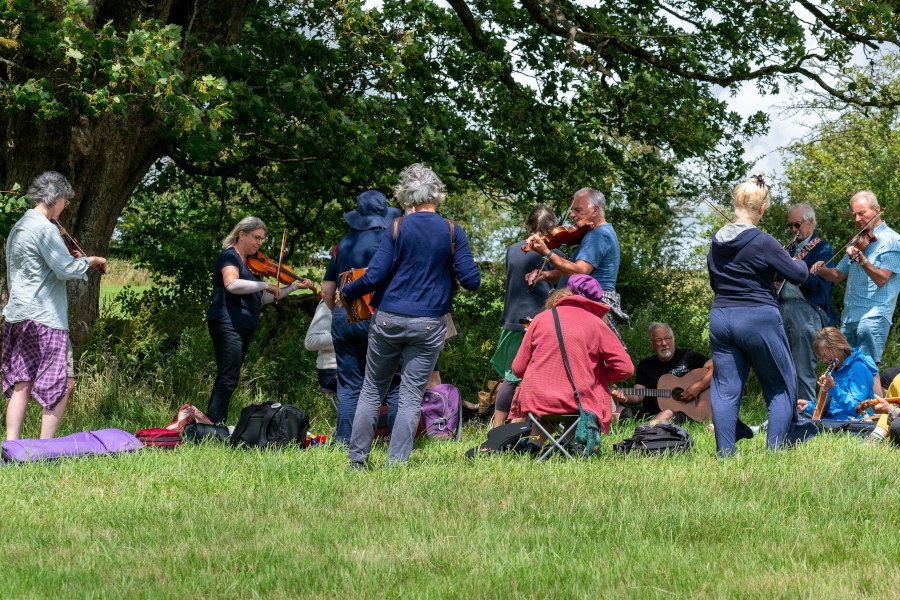 A group of people playing instruments in a meadow.